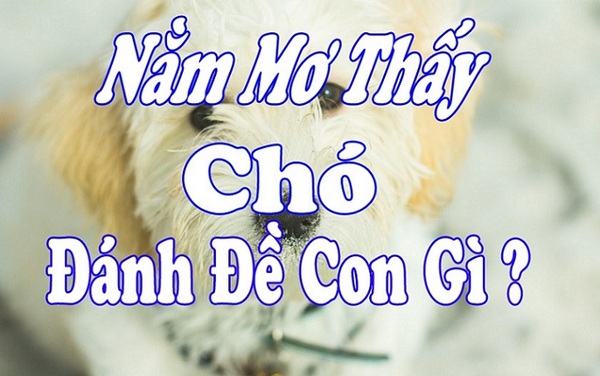 mơ thấy chó đánh con gì