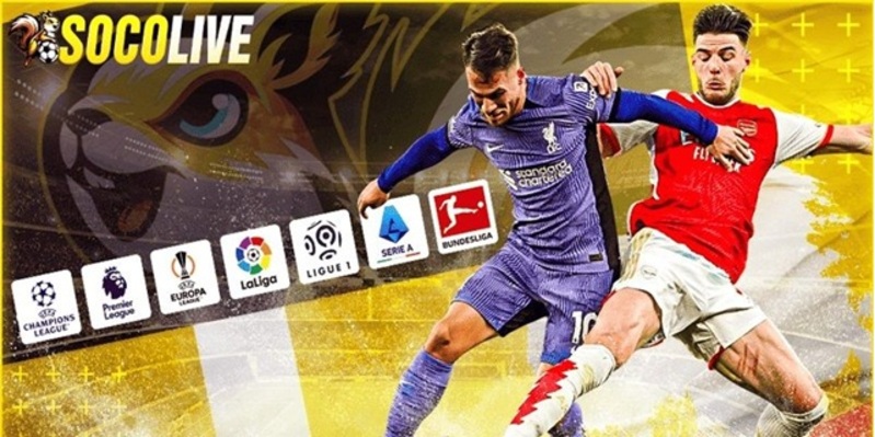 Web trực tiếp bóng đá Socolive là lựa chọn lý tưởng dành cho fan thể thao vua